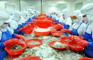 Thị trường nào 'hot' nhất trong khối CPTPP?