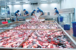 Ngành thủy sản đương đầu khó khăn
