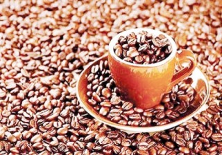 Xây dựng nhà máy sản xuất cà phê hòa tan Tín Nghĩa