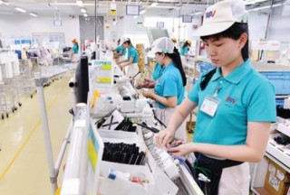 TP. HCM hỗ trợ đồng bộ cho DN