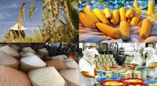 Nông sản Việt vượt sóng tăng xuất khẩu
