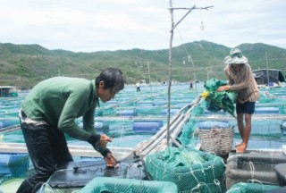 Phú Yên cần sớm đánh thức tiềm lực