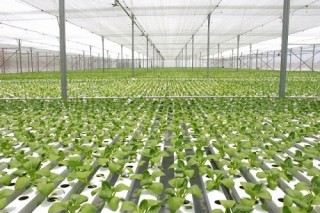 Tổ chức hội thảo nông nghiệp thông minh ở Đồng Tháp