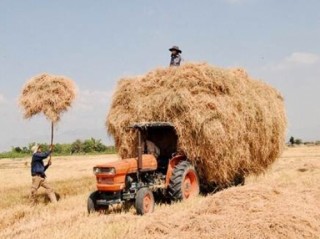 Thu nhập “khủng” từ phụ phẩm nông nghiệp