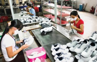 Doanh nghiệp cần chủ động nguồn nguyên liệu