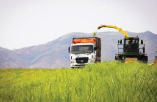 Cùng BIDV đầu năm “xông đất”: Kỳ I - Nơi hội tụ đất trời, lòng người
