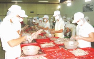 Sau Tết, không lo thiếu hụt lao động