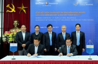 Bảo Việt hợp tác triển khai bảo hiểm nông nghiệp