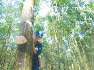 Đầu tư sang Lào và Campuchia: Để giảm thiểu rủi ro