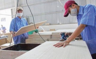 Ngành gỗ với cơ hội mới