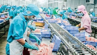 Tín hiệu sáng từ xuất khẩu và thu hút đầu tư