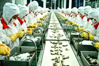 Đẩy mạnh dịch vụ phát triển kinh doanh