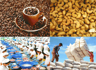 Hiểu thị trường sẽ dễ thành công