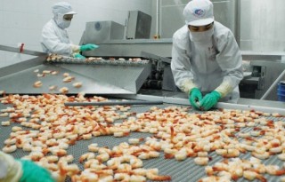 Nhiều khoản phí “ngáng chân” doanh nghiệp