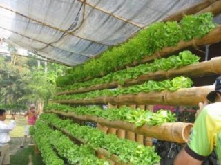 Tham tán giúp DN hiện đại hóa