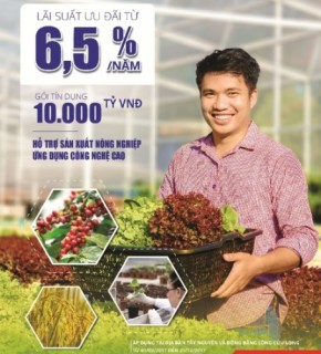 BIDV: 10.000 tỷ đồng cho vay sản xuất nông nghiệp với lãi suất hấp dẫn