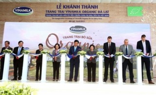 Vinamilk khánh thành trang trại bò sữa Organic đầu tiên tại Việt Nam