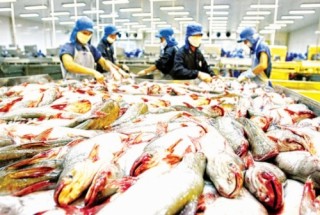 Kết nối để đẩy mạnh xuất khẩu