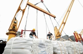 Xuất khẩu gạo khởi sắc đầu năm