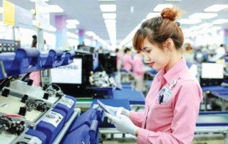 Hiểu thị trường để chọn hướng đi hiệu quả