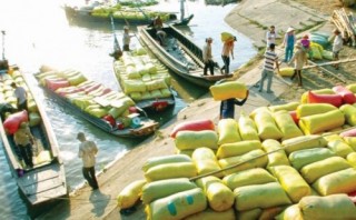 Doanh nghiệp “xịn” không thiếu vốn tạm trữ