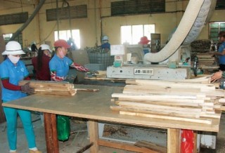 Chính sách đã đi vào thực tiễn
