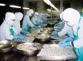Xuất khẩu lo hụt hơi?