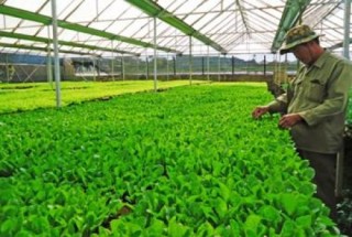 Lào – thị trường tiềm năng cho DN Việt