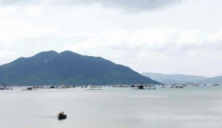 Bốn địa phương, một điểm đến