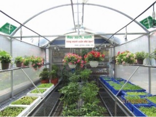 Nở rộ dịch vụ cho nhu cầu rau sạch
