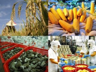 Vẫn là giấc mơ chuỗi giá trị nông sản