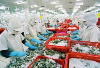 Thủy sản khổ vì kiểm trước, hoàn sau