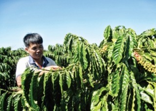 Muốn phát triển bền vững, phải thích ứng tốt