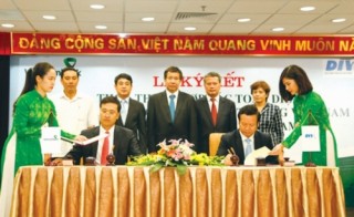 Nâng cao năng lực tài chính thông qua đầu tư