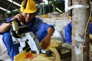 Những câu chuyện giải cứu doanh nghiệp