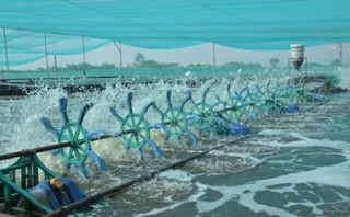 Doanh nghiệp đầu tư công nghệ để phát triển