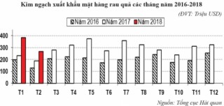 Xuất khẩu rau quả và những lưu ý