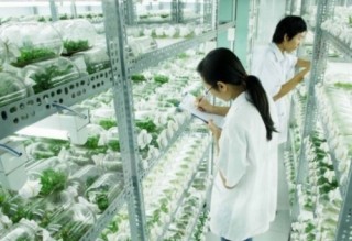 Đầu tư công nghệ để tối đa hóa lợi nhuận