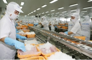 Cải cách phải đồng bộ