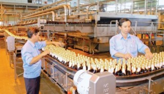 Ngành đồ uống, nước giải khát “tăng nhiệt”