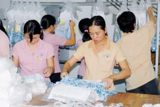 Dệt may nắm bắt vận hội mới