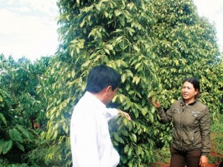 Để tiêu bớt rủi ro