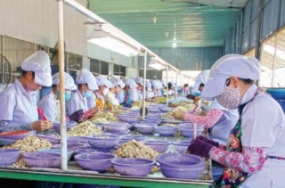 Thương hiệu BIDV nơi miền nắng gió