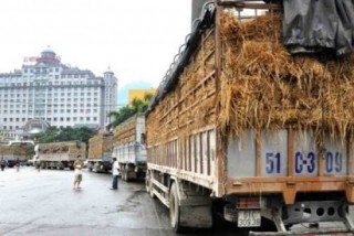 Biên mậu với Trung Quốc: Để giảm bị động và phụ thuộc