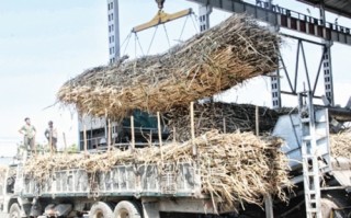 Tăng cường đối thoại để gỡ khó