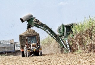 Đường dư cung tồn kho báo động