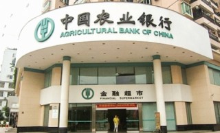 Cầu nối hội nhập Asia