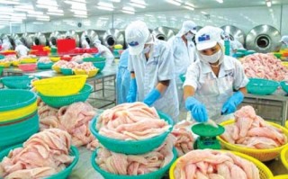 Kiểm dịch vẫn làm khó thủy sản xuất khẩu