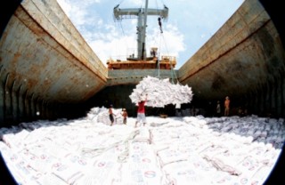 Xuất khẩu gạo và những tín hiệu mới