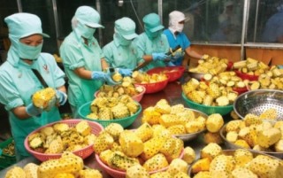 Tăng cường mở rộng thị trường xuất khẩu